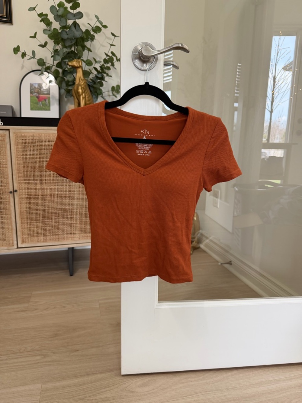 Klassy Network Rust V-Neck Ribbed Crop Top